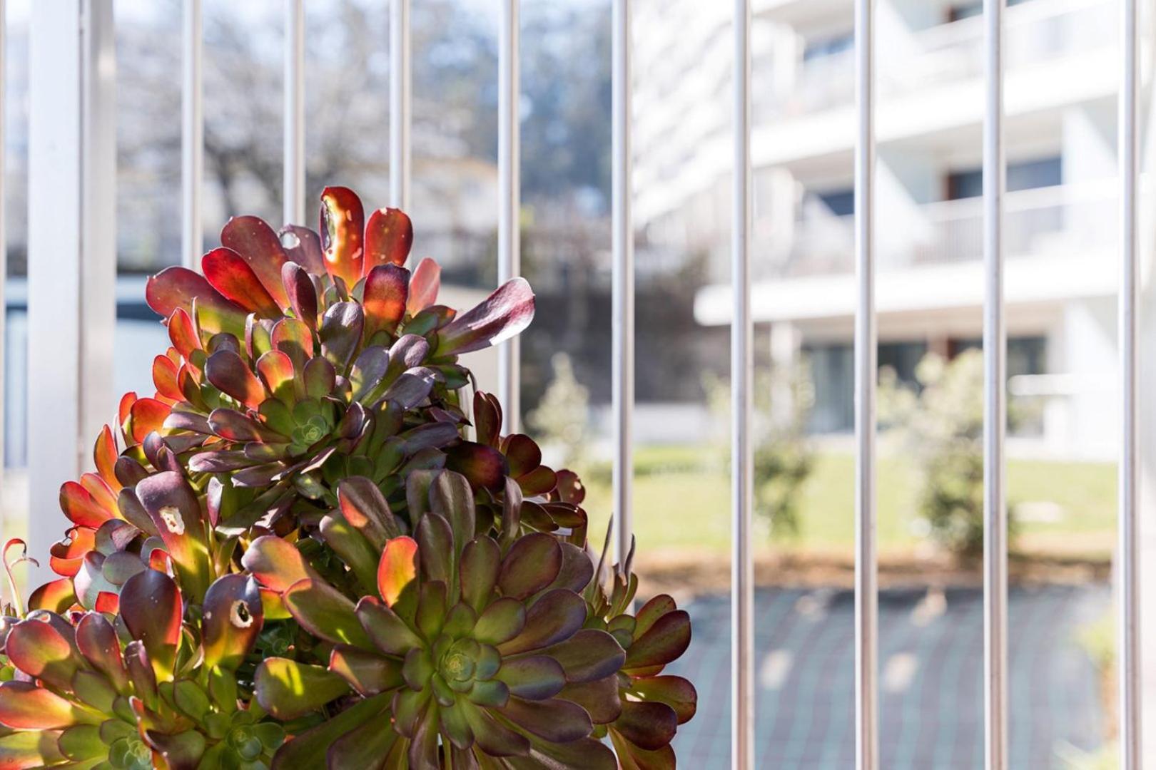 Guestready - Ideal Stay Near Estadio Do Dragao ポルト エクステリア 写真